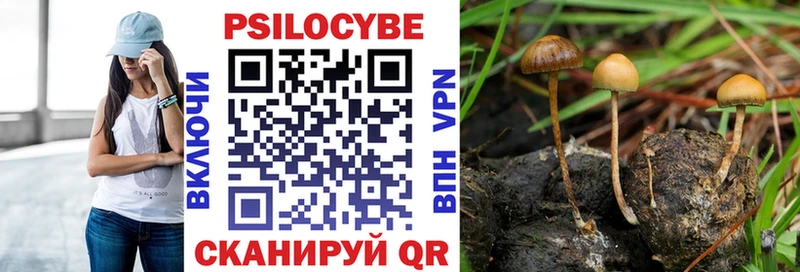 Псилоцибиновые грибы мицелий  Тимашёвск 