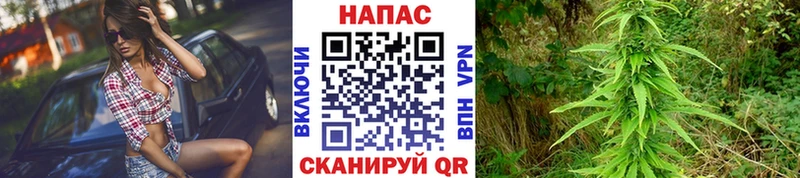 Бошки Шишки OG Kush  Тимашёвск 